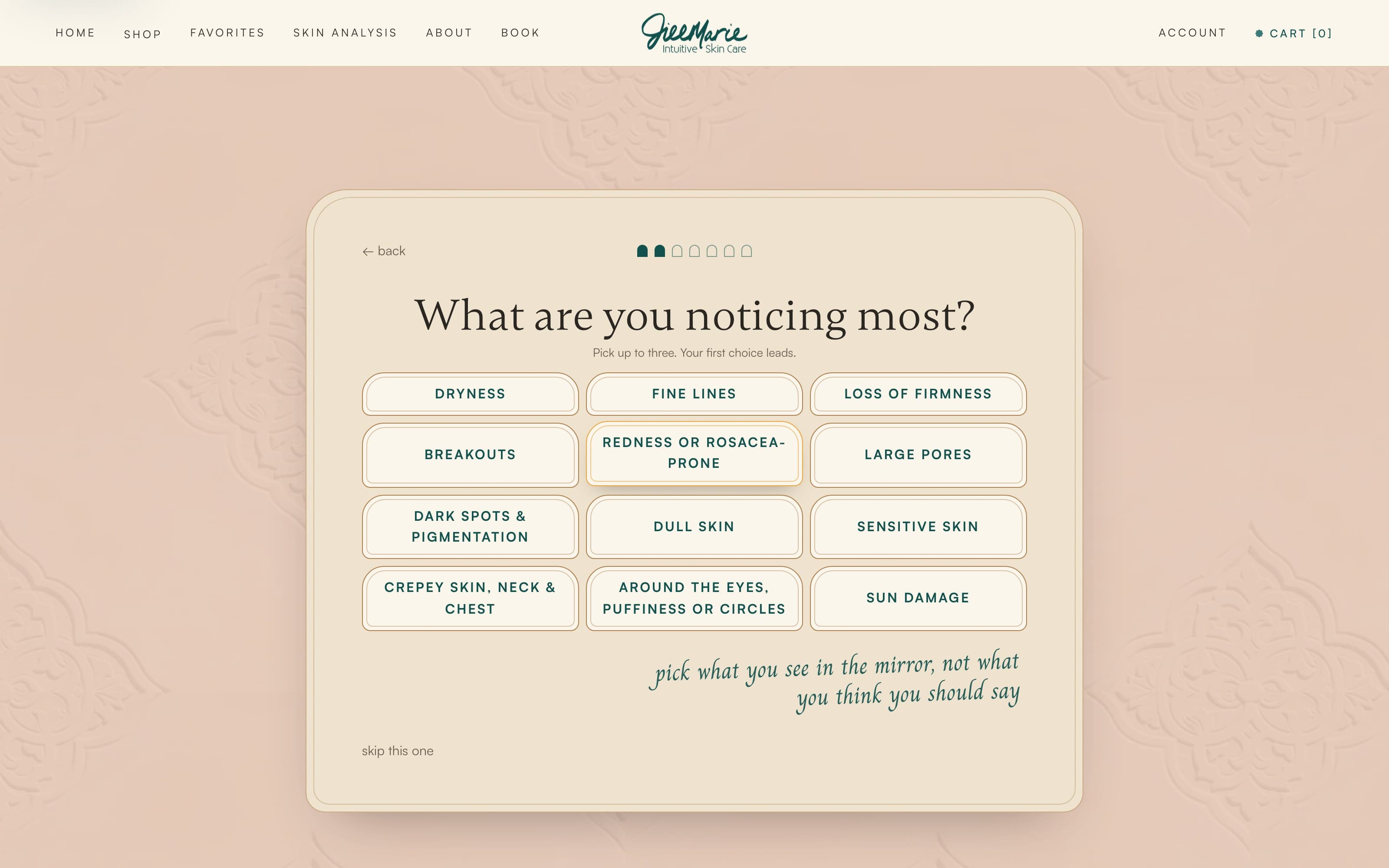 The Skin Analysis quiz